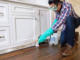 Best Pest Control for Multi-Family Homes  in Eastwood, LA